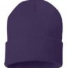 Knit Winter Hats (Purple)